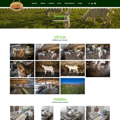 Gülpınar Süt Kurumsal Websitesi
