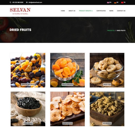 Selvan Food Kurumsal Web Sitesi